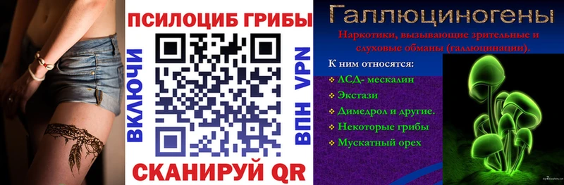 Галлюциногенные грибы Psilocybe  Таруса 
